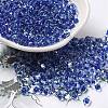 Glass Seed Beads SEED-K009-08A-09-1