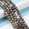 Natural Map Stone/Picasso Stone/Picasso Jasper Beads Strands G-D481-09-2