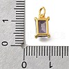 925 Sterling Silver Pave Clear Cubic Zirconia Charms STER-V001-02G-02-3