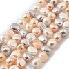 Natural Cultured Freshwater Pearl Beads Strands PEAR-P064-19I-07B-2