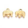 201 Stainless Steel Charms STAS-N109-230G-1
