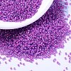 MIYUKI Delica Beads SEED-J020-DB2049-1