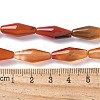 Dyed & Heated Natural Carnelian Beads Strands G-Q019-A02-4