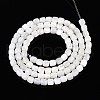Natural Trochid Shell/Trochus Shell Beads Strands SSHEL-N040-08-2