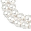 Electroplated Shell Pearl Beads Strands BSHE-G027-13C-4