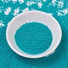 MIYUKI Delica Beads X-SEED-J020-DB0793-2