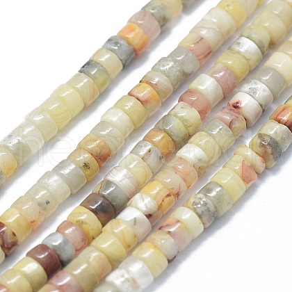 Natural Crazy Lace Agate Beads Strands G-F631-A22-1