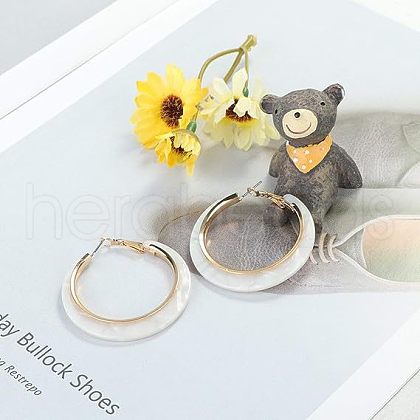 Ring Alloy Acrylic Hoop Earrings FS-WG301DC-02-1