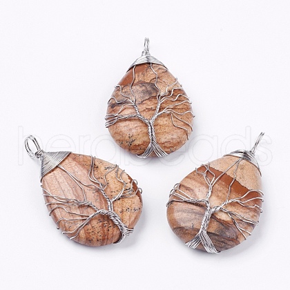Natural Picture Jasper Big Pendants G-G956-A13-FF-1