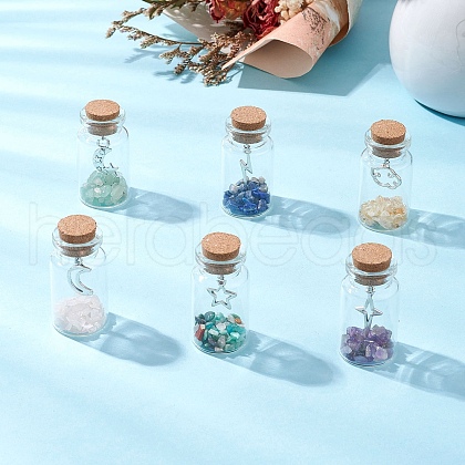 6Pcs Glass Wish Bottle Display Decoration PALLOY-JF03644-1