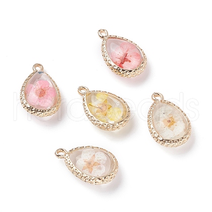 Glass Dried Flower Pendants RESI-F030-23-1