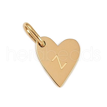 304 Stainless Steel Charms STAS-L291-01G-Z-1