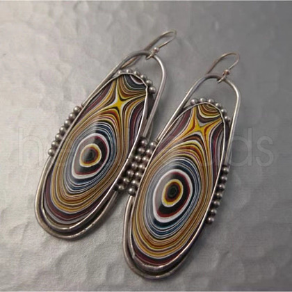 National Style Alloy Plastic Dangle Earrings FS-WGBC682-02-1