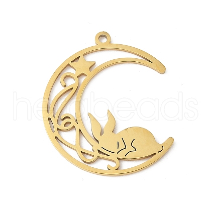 304 Stainless Steel Pendants STAS-Q354-01G-1