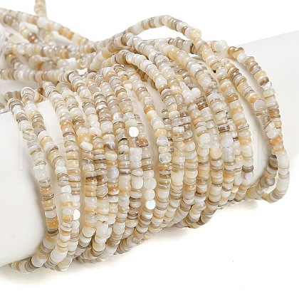 Natural Freshwater Shell Beads Strands X-BSHE-H109-13A-1