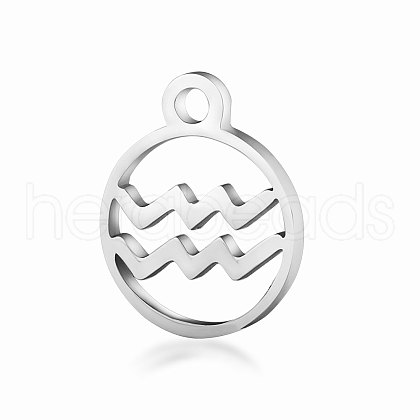 Non-Tarnish 201 Stainless Steel Charms STAS-T014-T505-11-1