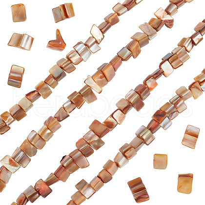 Beebeecraft 4 Strands Dyed Natural Freshwater Shell Beads Strands SHEL-BBC0001-14A-1