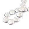 Plating Natural Freshwater Shell Beads Strands SHEL-N026-225B-4