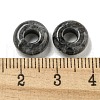 Natural Larvikite Beads G-Q173-03A-15-3