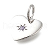 925 Sterling Silver Micro Pave Clear Cubic Zirconia Charms STER-V001-01P-02-2