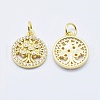Brass Micro Pave Cubic Zirconia Charms RB-I078-68G-NR-2