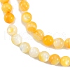 Natural Golden Yellow Shell Beads Strands SSHEL-G024-01D-3