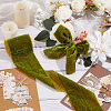 Flat Velvet Ribbons OCOR-WH0078-91A-01-5