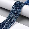 Electroplate Glass Beads Strands GLAA-H021-01A-FP03-3