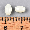Opaque Colours Luster Glass Seed Beads SEED-N008-02A-02-4