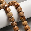 Natural Picture Jasper Beads Strands G-H078-C14-01-2