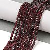 Faceted Rondelle Natural Garnet Bead Strands X-G-I156-08B-2