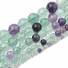 Natural Fluorite Beads Strands G-S333-10mm-006-2
