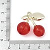 Alloy & Acrylic Pendants PALLOY-S053-01LG-A-3
