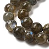 Natural Labradorite Beads Strands G-I253-01-3