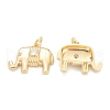 Brass Micro Pave Clear Cubic Zirconia Pendants ZIRC-B010-39G-2