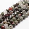 Natural African Bloodstone Beads Strands G-D840-66-8mm-1