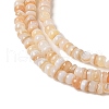 Natural Freshwater Shell Beads Strands SHEL-P017-01B-10-3