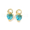 Brass Micro Pave Cubic Zirconia Charms KK-P192-08-G11-1