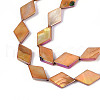 Dyed Natural Freshwater Shell Beads Strands SHEL-T020-13B-3