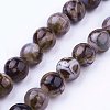 Natural Agate Bead Strands G-P289-02D-8mm-1