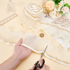 5 Yards Resin and Chiffon Ruffled Lace Trim OCOR-WH0090-95-3