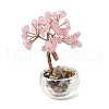 Natural Rose Quartz Chips Tree of Life Decorations DJEW-Q010-01B-1