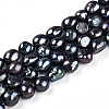 Natural Cultured Freshwater Pearl Beads Strands PEAR-N014-09A-04-5