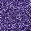 MIYUKI Delica Beads SEED-X0054-DB1347-3