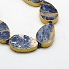 Flat Teardrop Natural Sodalite Bead Strands G-N0119-06-2