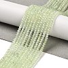 Natural Prehnite Beads Strands G-B107-D03-01-1
