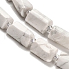 Natural Howlite Beads Strands G-K245-I22-01-4