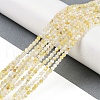 Natural Trochus Shell Beads Strands BSHE-H109-12A-2