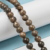 Natural Map Stone/Picasso Stone Beads Strands G-R494-A24-02-4