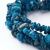 Natural Apatite Beads Strands X-G-P427-02-2